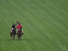 Otro Preakness Stakes sin el ganador del Kentucky Derby es una advertencia: la Triple Corona necesita reparación