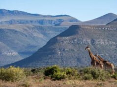 Por qué necesita agregar la Reserva Samara Karoo de Sudáfrica a su lista de deseos