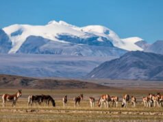 Es el parque nacional más grande de China (y es 14 veces más grande que Yellowstone)