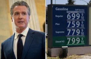 Gavin Newsom culpa a Chevron