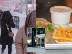 Las acciones de Shake Shack se vieron sacudidas por el shock de ventas y cayeron un 30%