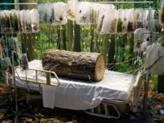 Dentro de la exposición inmersiva “Hospital de las Emociones” en el centro de Los Ángeles