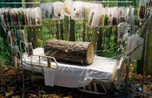 Dentro de la exposición inmersiva “Hospital de las Emociones” en el centro de Los Ángeles