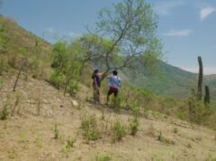 Revista “Nuestra Tierra”: Lucrecia Martel revela un asesinato motivado por bienes