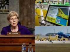 Elizabeth Warren criticada por aplaudir el bloqueo de una fusión que podría haber salvado a Spirit Airlines